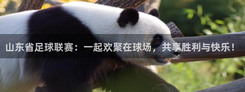 山东省足球联赛：一起欢聚在球场，共享胜利与快乐！